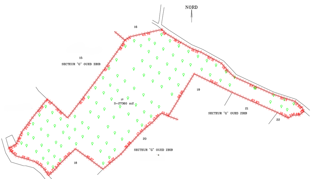 Terrain